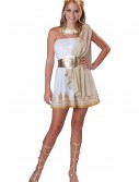 Teen Glitzy Goddess Costume, halloween costume (Teen Glitzy Goddess Costume)
