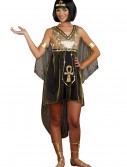 Teen Jewel of the Nile Cleopatra Costume, halloween costume (Teen Jewel of the Nile Cleopatra Costume)