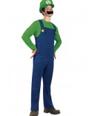Teen Luigi Costume, halloween costume (Teen Luigi Costume)