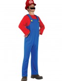 Teen Mario Costume, halloween costume (Teen Mario Costume)