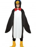 Teen Penguin Costume, halloween costume (Teen Penguin Costume)