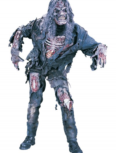 Teen Zombie Costume, halloween costume (Teen Zombie Costume)