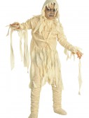 The Mummy Child Costume, halloween costume (The Mummy Child Costume)