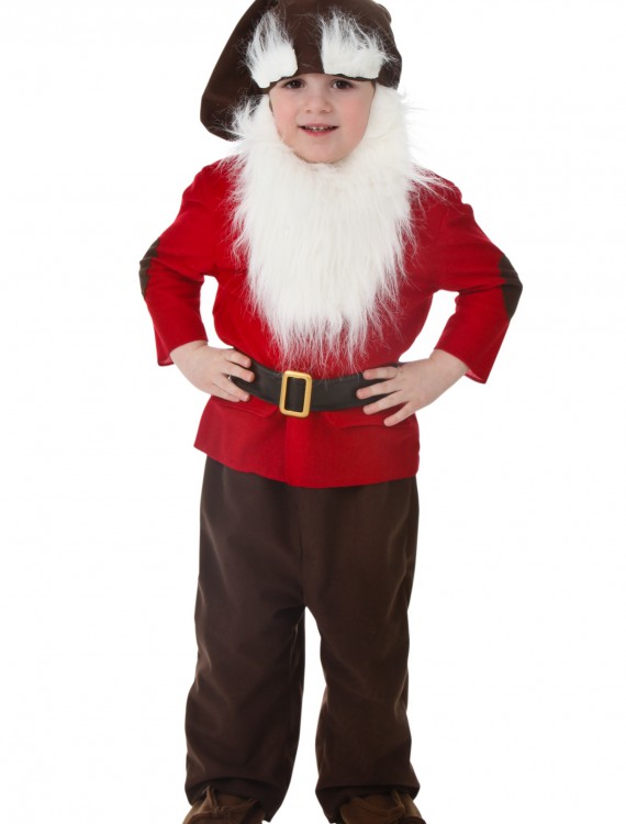 Toddler Dwarf Costume, halloween costume (Toddler Dwarf Costume)