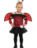 Toddler Little Lady Bug Costume, halloween costume (Toddler Little Lady Bug Costume)