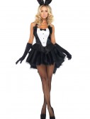 Tux and Tails Bunny Costume, halloween costume (Tux and Tails Bunny Costume)