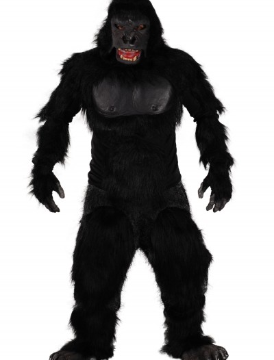 Two Bit Roar Gorilla Costume, halloween costume (Two Bit Roar Gorilla Costume)