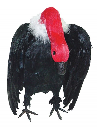Vulture with Head Down Prop, halloween costume (Vulture with Head Down Prop)