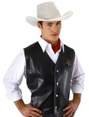 Western Hero Hat, halloween costume (Western Hero Hat)