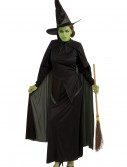 Wicked Witch Adult Costume, halloween costume (Wicked Witch Adult Costume)