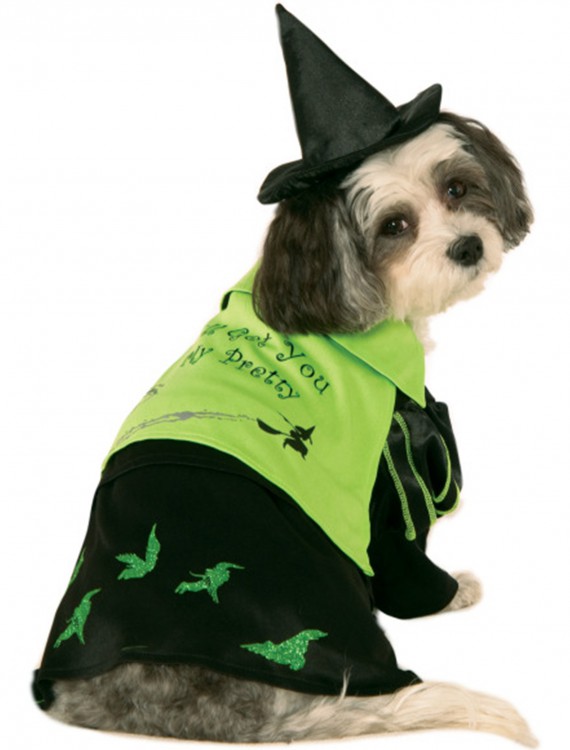 Wicked Witch of the West Pet Costume, halloween costume (Wicked Witch of the West Pet Costume)