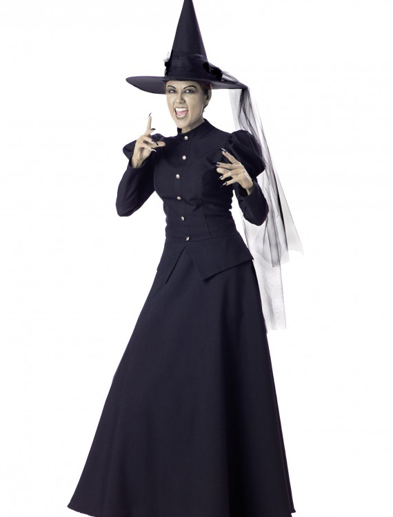 Women's Black Witch Costume, halloween costume (Women's Black Witch Costume)