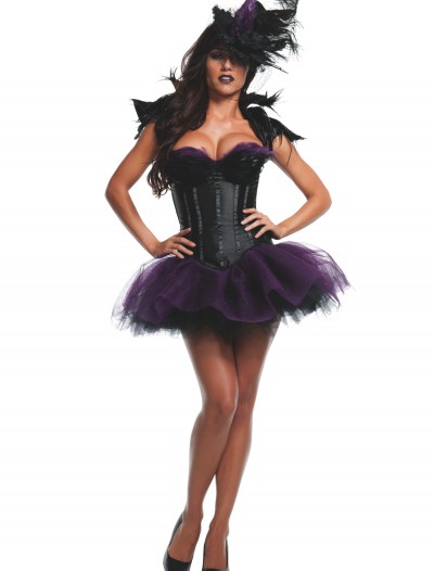 Womens Ravishing Raven Costume, halloween costume (Womens Ravishing Raven Costume)
