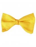 Yellow Bow Tie, halloween costume (Yellow Bow Tie)