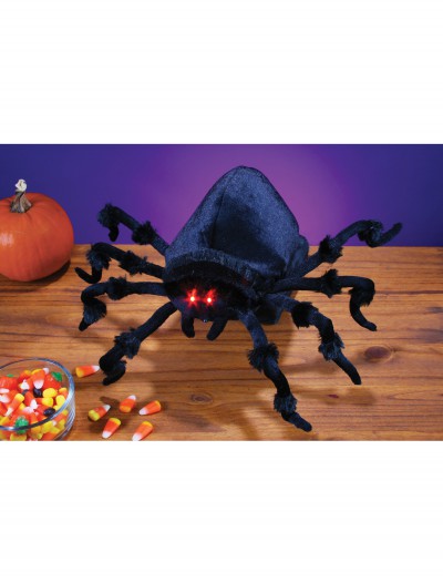 Animated Jumping Spider, halloween costume (Animated Jumping Spider)